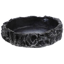  Plat D'eau Tortue Bol De