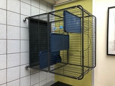 Cage rongeurs bon état - en,