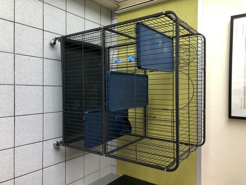 Cage rongeurs bon - rongeurs,