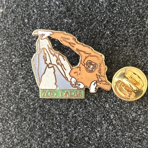 Pin pins enamel 35 - pin's,