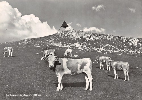 Suisse baulmes chalet - suisse,