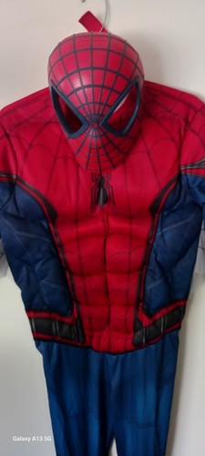 Spiderman costume - costume, pc.