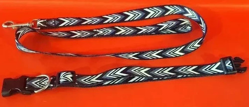 Laisse collier pour chien - +,