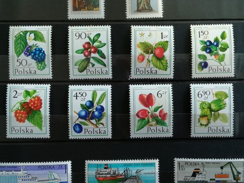 Timbre pologne neuf - neuf, fruits