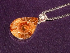 Pendentif Ammonite, Fossile