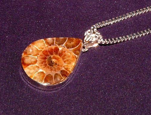 Pendentif ammonite fossile - pendentif, ammonite,