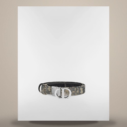 Dior ceinture réversible - ceinture,