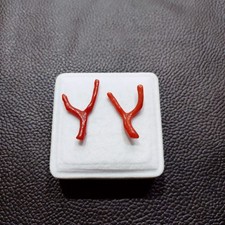 Corail rouge poli pierre