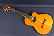 Guitare électrique acoustique