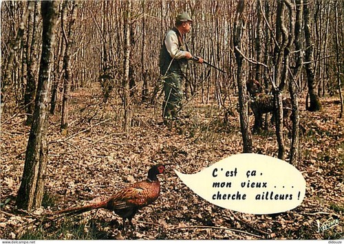 Carte postale animaux - carte,