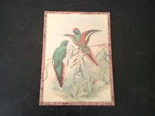 DESSIN GRAVURE AFFICHE ANCIENNE ENCADREE SOUS VERRE AVEC 2 OISEAUX ART DECO
