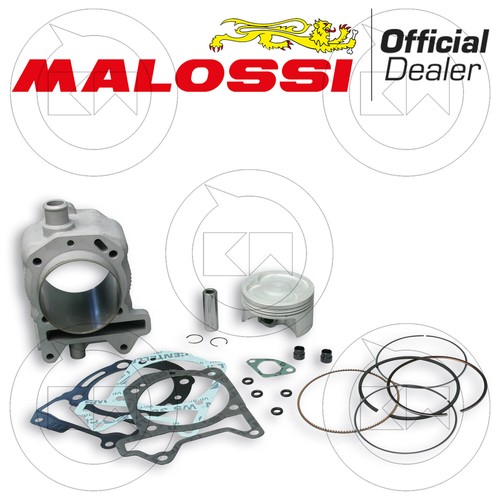 Malossi 3113955 kit cylindre - 3113955,