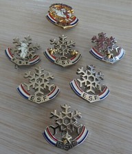 LOT 7 BROCHES ESF INSIGNE ECOLE SKI FRANCAISE FLOCON ETOILE PIOU PIOU OURSON