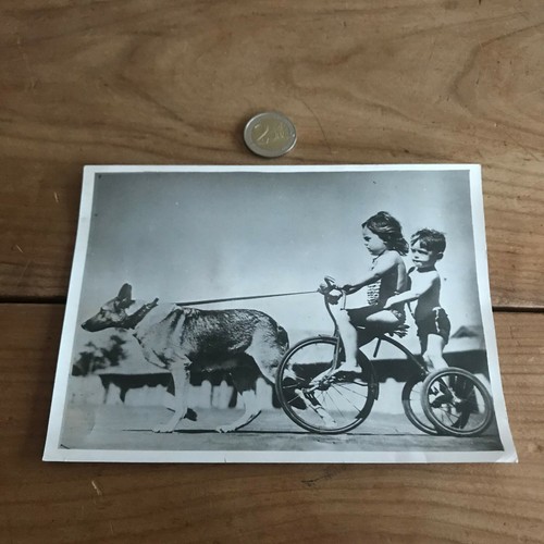 Photographie ancienne vélo - photographie,