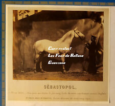 CHEVAL PUR SANG ARABE SEBASTOPOL 1ER PRIX ETALON TOURNACHON document photo 