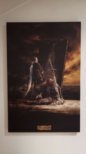 Dark souls canvas sealed - souls,