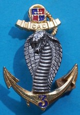 Insigne de la Compagnie