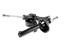 Deux Amortisseurs Gaz Avants