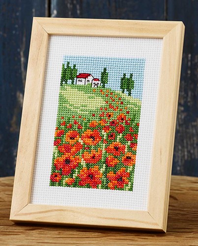 Kit broderie point - kit, de