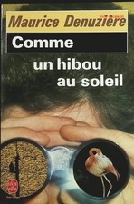 Comme un hibou au soleil -