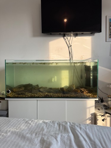 Aquarium 240 litres - aquarium,