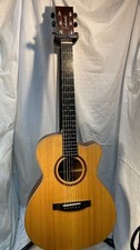 Electric Acoustic Guitar
