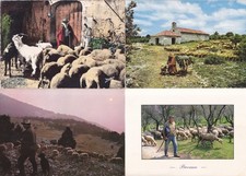 Lot de 4 cartes postales