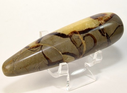 Poli septarian dragon - poli,