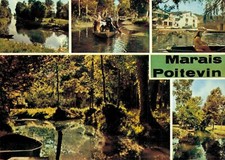 CPA/DEP 79  /MARAIS POITEVIN LA CATHÉDRALE 