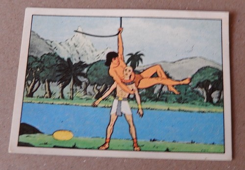 Figurine panini tarzan - figurine,