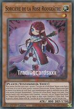 Yu-Gi-Oh! Sorcière de la Rose Rougeâtre : SR LIOV-FR010