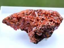 Crocoïte 88 grammes - Dundas mineral field, Zeehan District, Tasmanie Australie