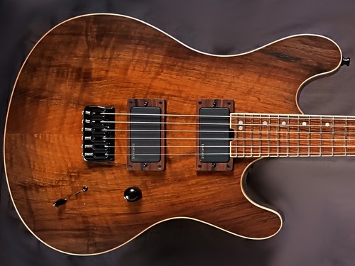 Guitare luthier idest - guitare, de