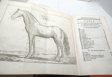 GUIDE DU MARECHAL 1803 Illustré HIPPOLOGIE ANATOMIE FERRURE CHEVAL Avignon