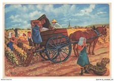 AUOP4-0408-21 - cote-de-beaune