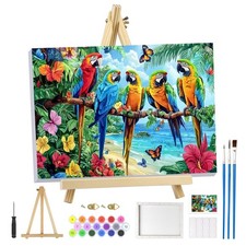 Perroquet Peinture Numero
