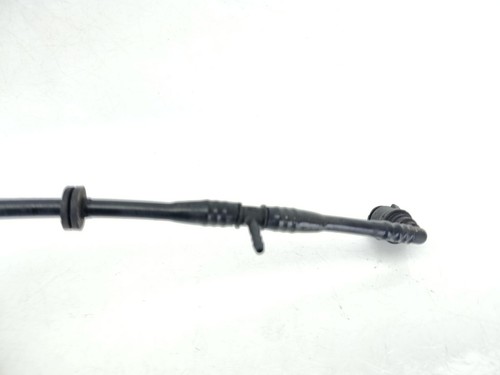 Tube 271564 pour - /,