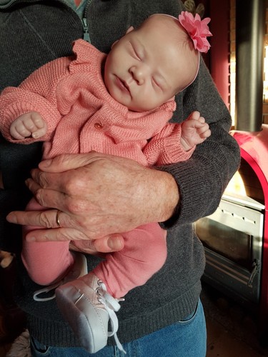 éden bébé reborn baby - , kit