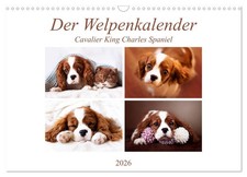 Le calendrier des chiots -