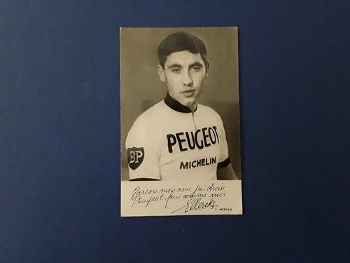 Carte cycliste eddy - cycliste, merckx