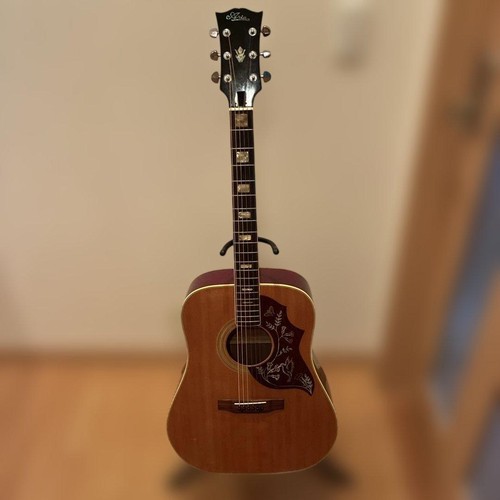 Guitare acoustique aria 25 - guitare, wh-25