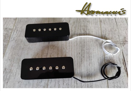 Ensemble micros alnico p - alnico,