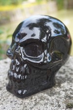 SK169n   TETE  DE MORT CRANE