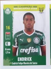 Endrick Palmeiras Rookie