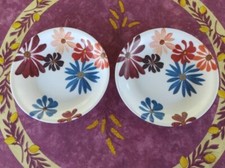 2 Assiettes Creuses Mélamine