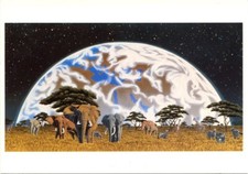 Carte Postale Illustrateur, Schim Schimmel, Africa Rising