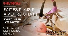 Jouet Laser pour Chat –