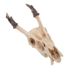  Cachette Reptile Pour Tortue