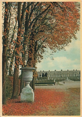 Versailles tapis vert - 78,