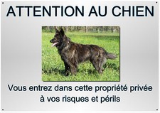 plaque chien berger hollandais